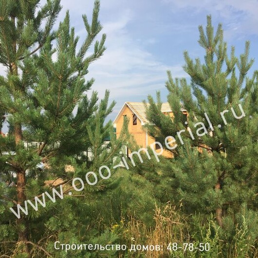 1photo-1-13.JPG
