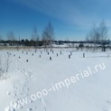 photo-1.jpg
